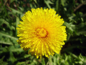 Similar image 684073