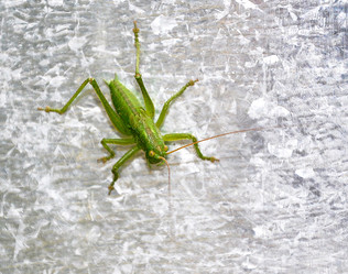 Similar image 684087