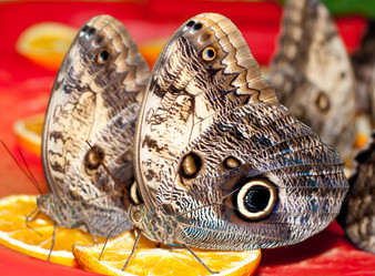 Similar image 684090