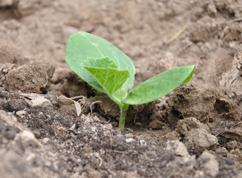 Similar image 684111