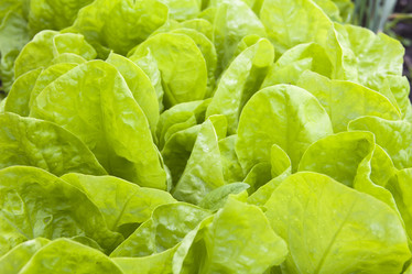 Similar image 684181