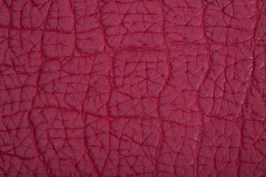 Similar image 684243