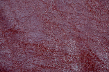 Similar image 684244