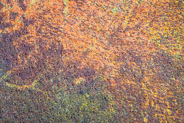 Similar image 684251