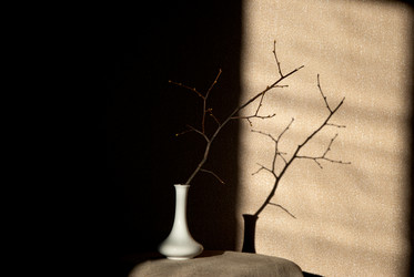 Similar image 684259