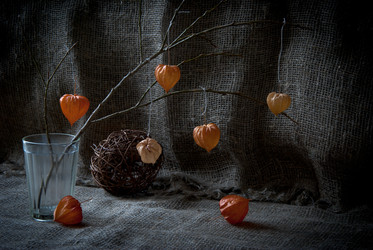 Similar image 684261