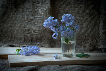 Similar image 684270