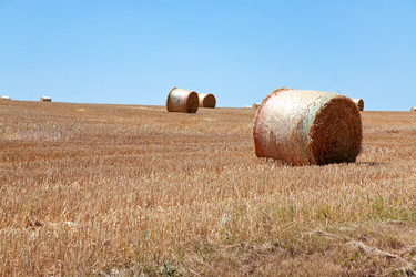 Similar image 684271