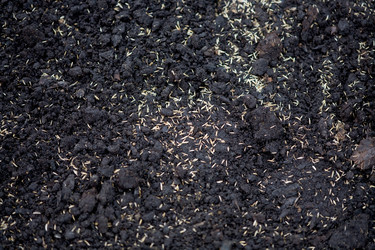 Similar image 684296