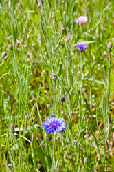 Similar image 684307