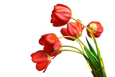 Similar image 684437