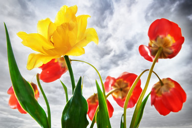 Similar image 684438