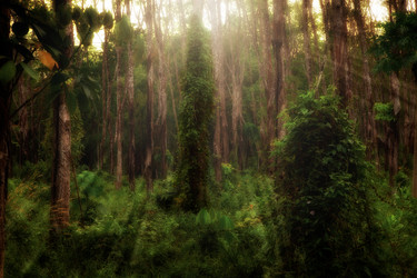 Similar image 684449