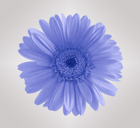 Similar image 684451