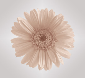 Similar image 684453