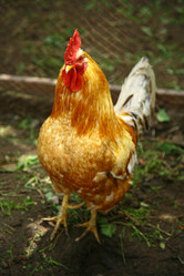 Similar image 684482