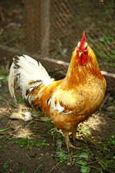 Similar image 684483