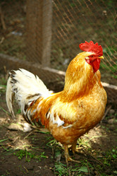 Similar image 684484