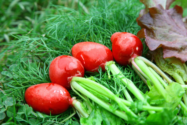 Similar image 684491