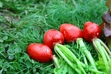 Similar image 684492