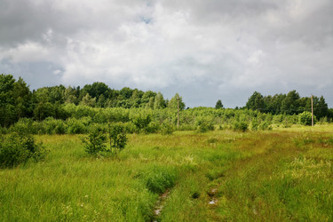 Similar image 684507