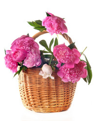 Similar image 684522