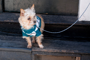 Similar image 684548