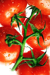 Similar image 684572