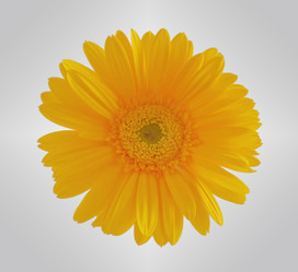 Similar image 684590