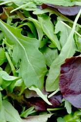 Similar image 684604