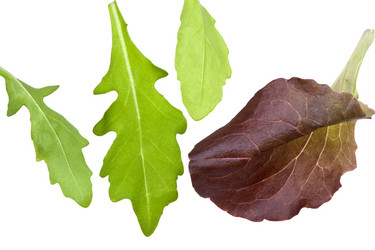 Similar image 684605