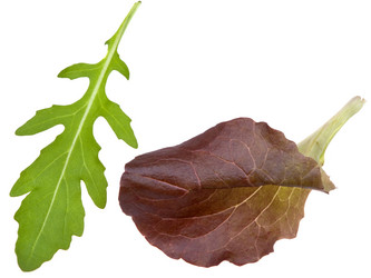 Similar image 684607