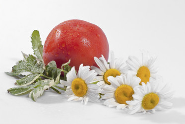 Similar image 684656