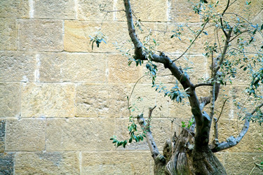 Similar image 684666