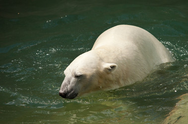 Similar image 684733