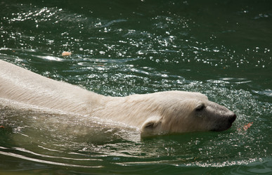 Similar image 684734