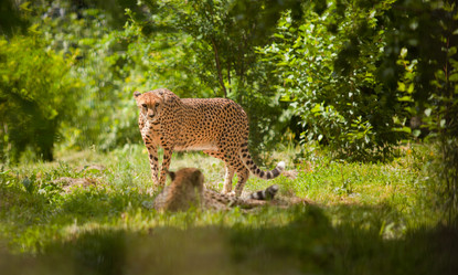 Similar image 684741