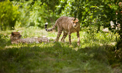 Similar image 684743