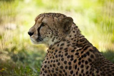 Similar image 684746