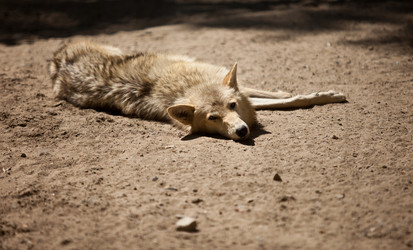 Similar image 684751