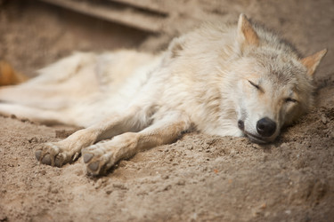 Similar image 684752