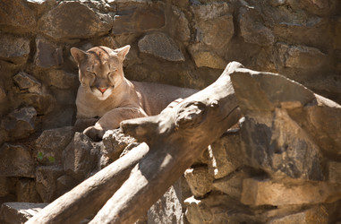 Similar image 684754