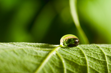 Similar image 684777