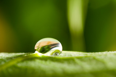 Similar image 684778