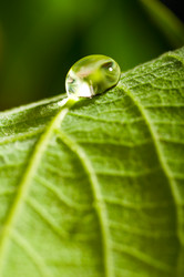 Similar image 684779