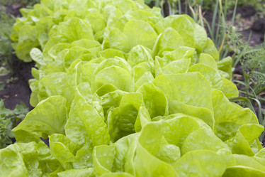 Similar image 684856