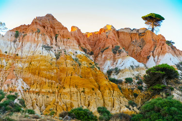 Similar image 684857