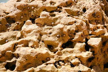 Similar image 684898