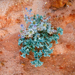 Similar image 684987