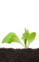 Similar image 685005